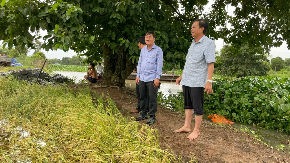 Lãnh đạo huyện Tân Hưng kiểm tra tình hình nước dâng ngập lúa tại các xã. Ảnh: HD