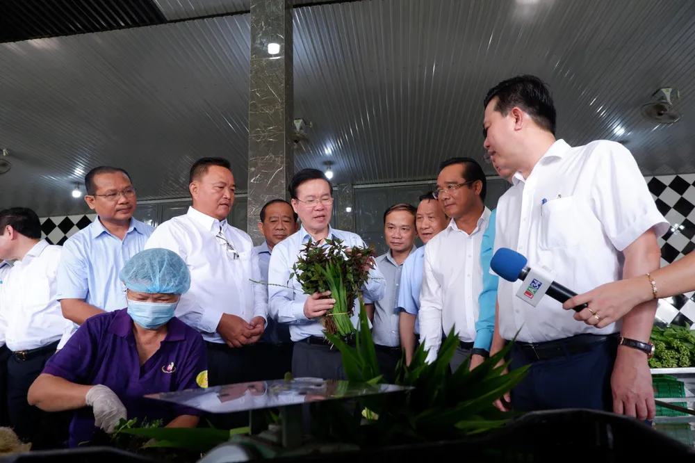 Thường trực Ban Bí thư Võ Văn Thưởng thăm khu vực trồng rau ứng dụng công nghệ cao xã Phước Hậu, huyện Cần Giuộc. Ảnh: THÀNH PHÁT