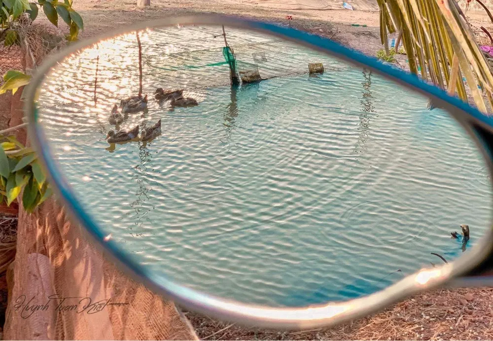 Những tác phẩm quê hương trên Facebook được rất nhiều người yêu thích. Ảnh: Tuấn Kiệt