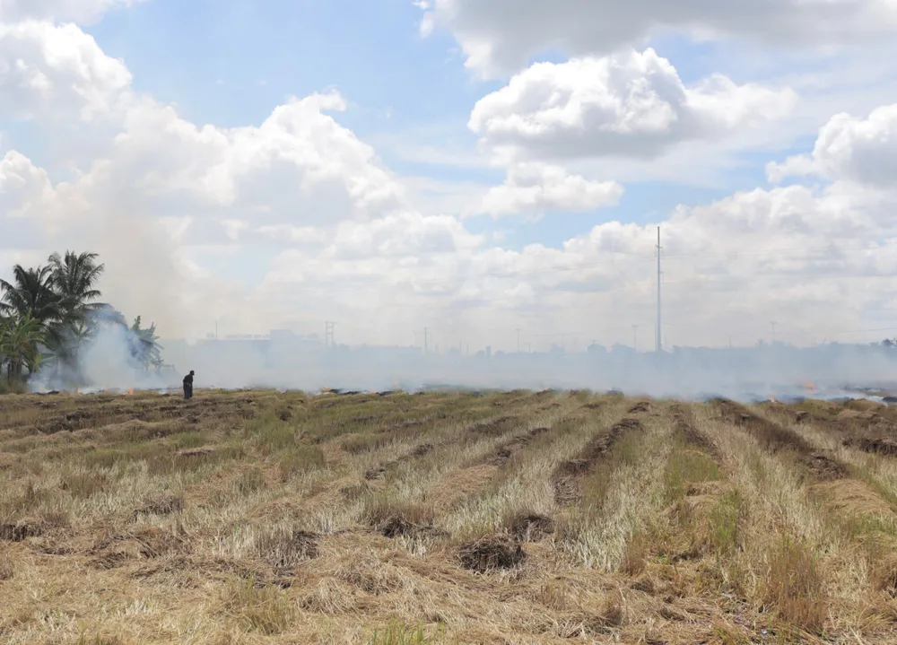 Khói bay tỏa ra trắng cả góc trời. Ảnh:HD