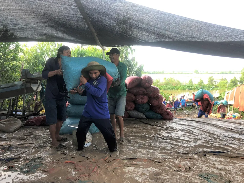 Thương lái thu mua, cân sàng lọc, đem lên xe đông lạnh xuất bán. Ảnh: HD Thương lái thu mua, cân sàng lọc, đem lên xe đông lạnh xuất bán. Ảnh: HD