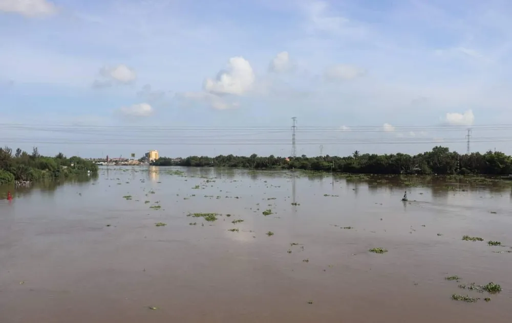 Sông Vàm Cỏ Tây, đoạn qua địa phận xã Phú Ngãi Trị. Ảnh: CTV
