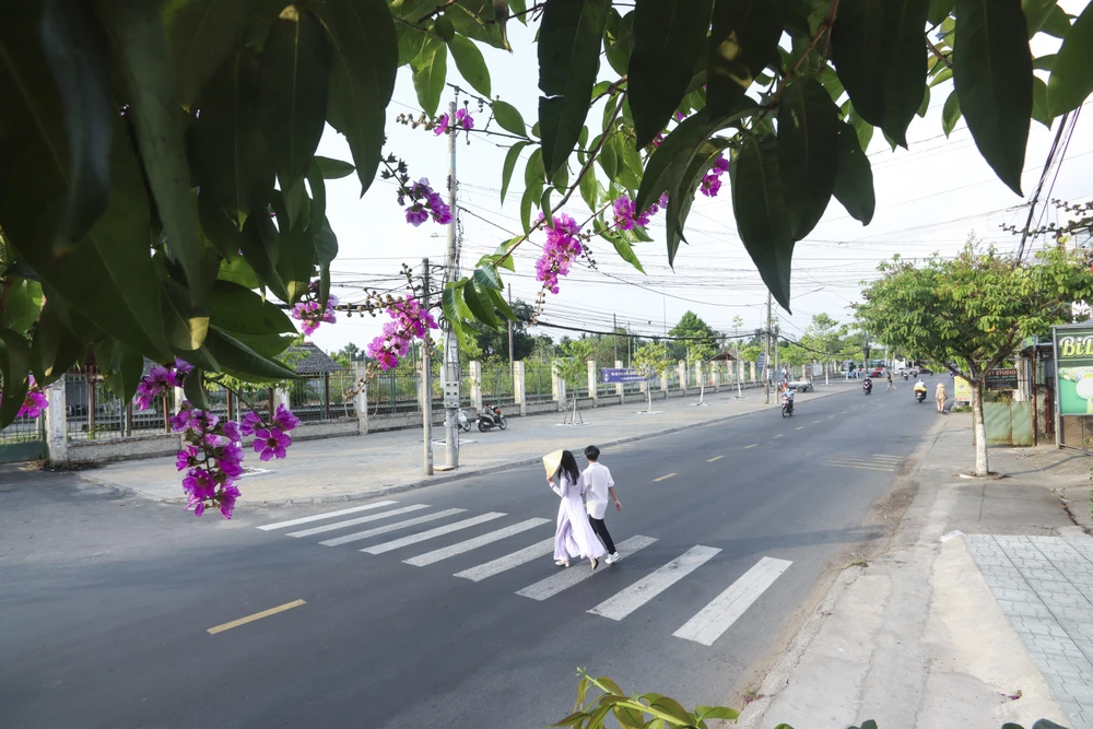 Hoa bằng lăng tím luôn luôn gợi những câu chuyện đẹp về những ngày tháng tuổi học trò thơ ngây và trong sáng.