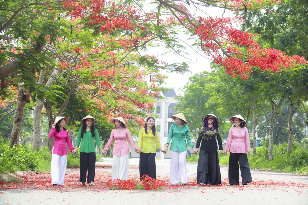 Hàng cây phượng vĩ ở TP Tân An được nhiều người đến chụp ảnh lưu lại khoảnh khắc.