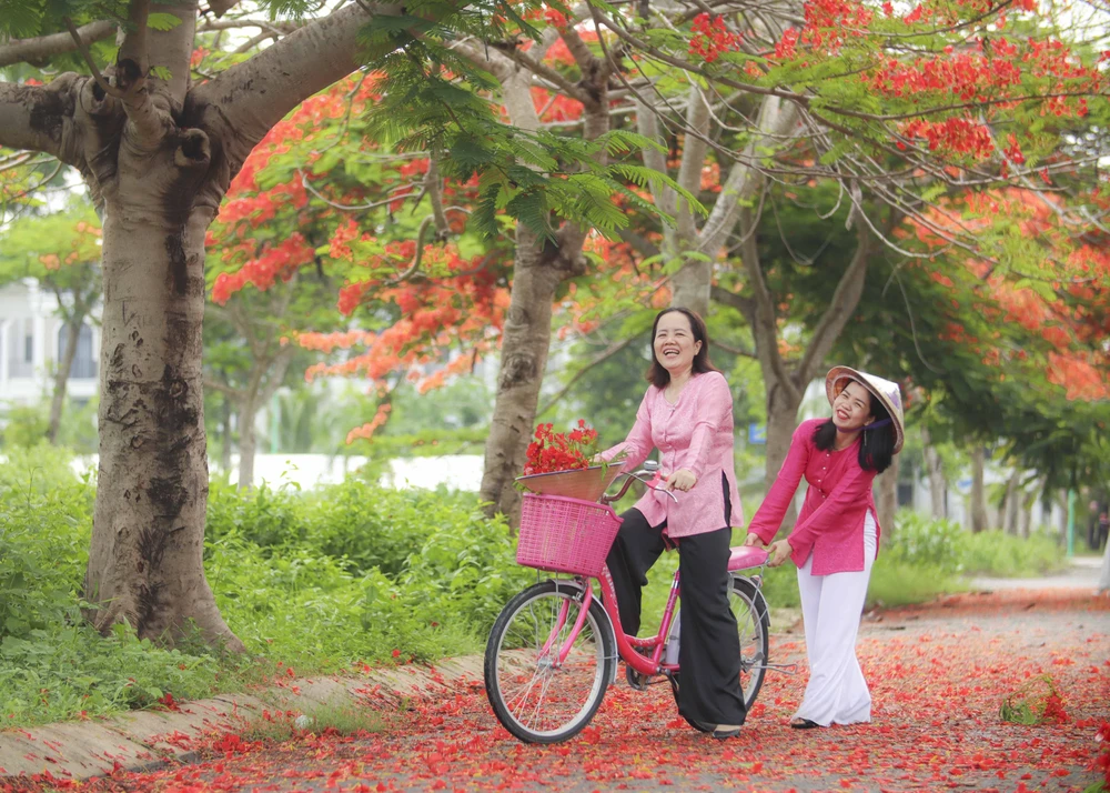 Nhiều người thích thú chụp với hàng cây hoa phượng vĩ, lưu lại để đăng mạng xã hội.