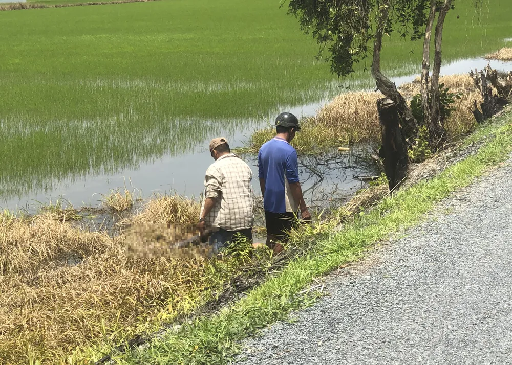 Nam thanh niên tử vong dưới ruộng