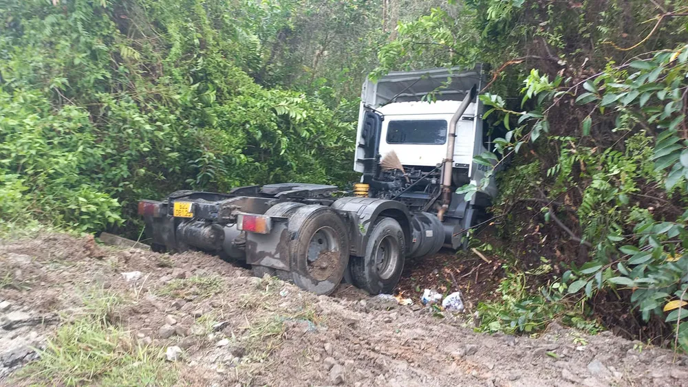 Xe container chui vào rừng tràm