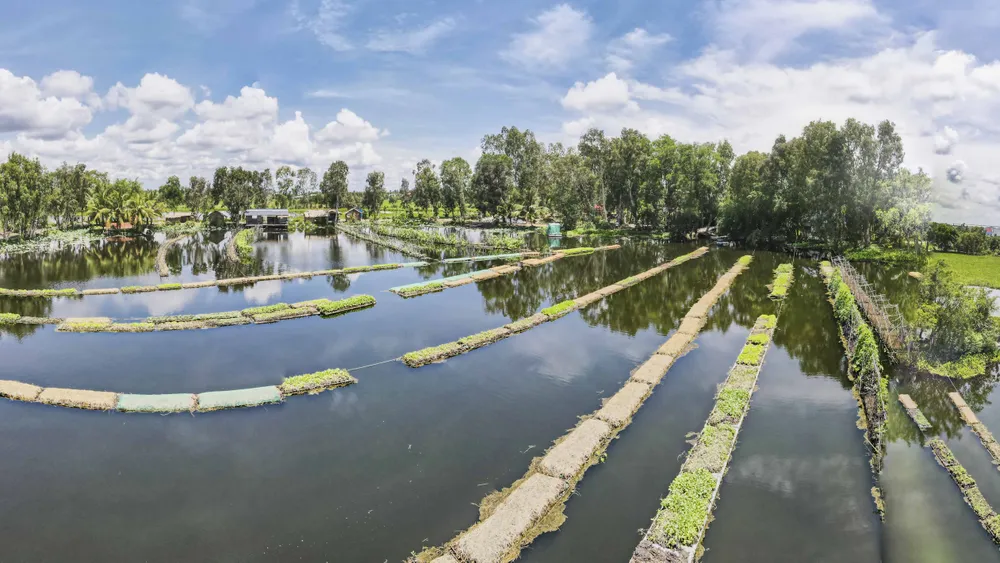 “Mô hình này hiện chỉ có mỗi mình tôi điều hành, vì vậy cần thời gian để chuẩn bị mọi thứ đảm bảo an toàn cũng như ổn định lao động” ông Đắc tâm sự.