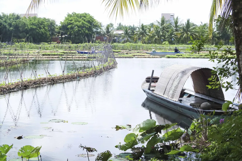 Cảnh thơ mộng tại trang trại rau của Ông Đắc rất thích hợp phát triển du lịch.