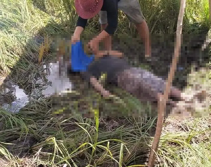 Thi thể ông M được gia đình tìm thấy.