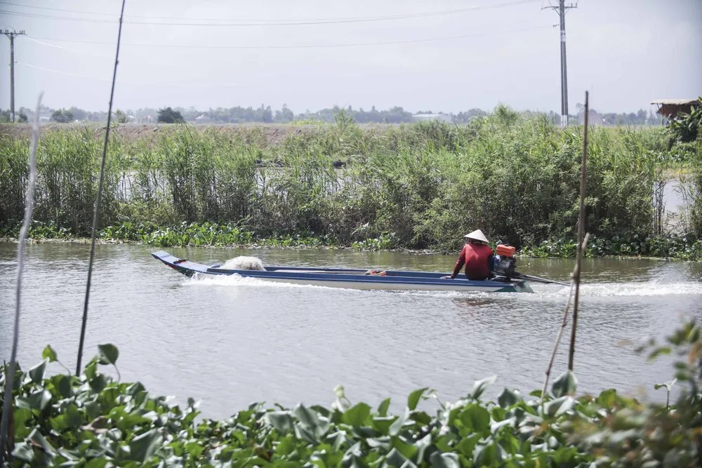 Người dân mong chờ nước lũ lớn nhưng vẫn chưa thấy về Người dân mong chờ nước lũ lớn nhưng vẫn chưa thấy về