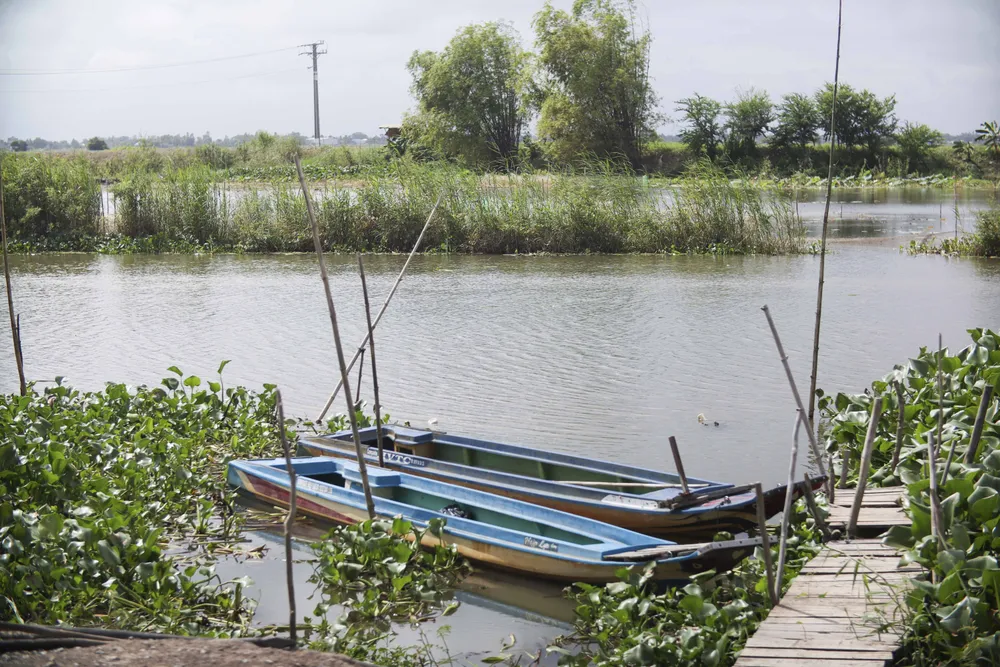 Những chiếc vỏ lãi được neo đậu không được hoạt động thường xuyên như hằng năm. Những chiếc vỏ lãi được neo đậu không được hoạt động thường xuyên như hằng năm.