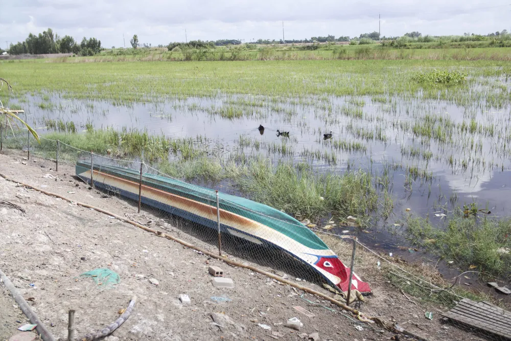 Mực nước rất thấp so với độ cao của bờ ruộng, đồng lúa chét vẫn nhô trên mặt ruộng. Mực nước rất thấp so với độ cao của bờ ruộng, đồng lúa chét vẫn nhô trên mặt ruộng.