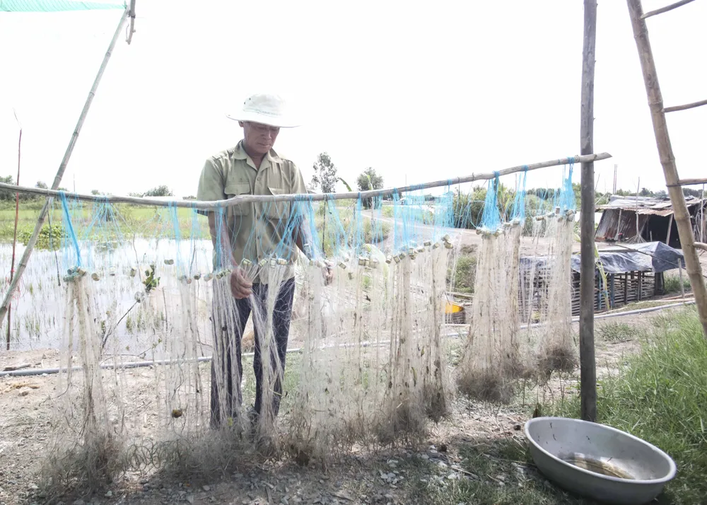 Ông Ngà sửa lại những chiếc lưới của mình nhằm kiếm được thu nhập khi lũ về. Ông Ngà sửa lại những chiếc lưới của mình nhằm kiếm được thu nhập khi lũ về.