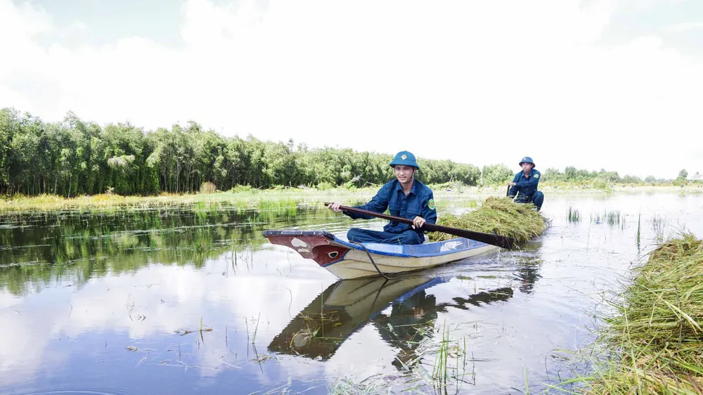 THU HOACH LUA (2).JPG