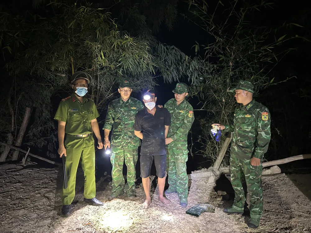 Đưa bò nhập lậu qua biên giới 3.jpg