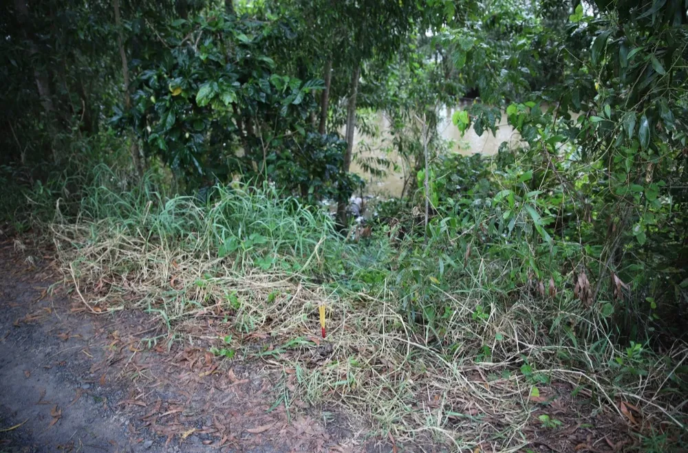 Người đàn ông chưa rõ tung tích tử vong dưới kênh nước