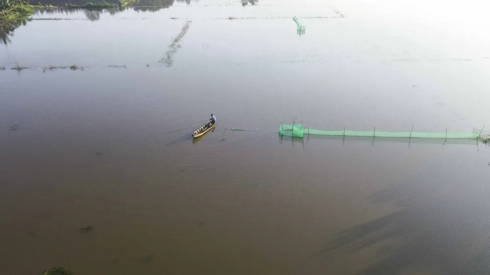 mưu sinh mùa lũ (1).JPG