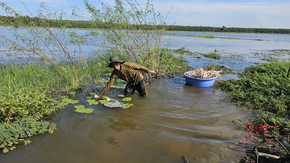 mưu sinh mùa lũ (12).jpg