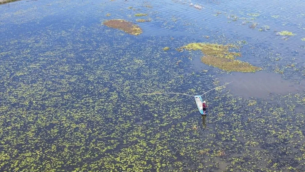 mưu sinh mùa lũ (2).JPG