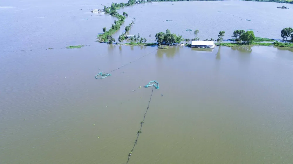 mưu sinh mùa lũ 23.JPG