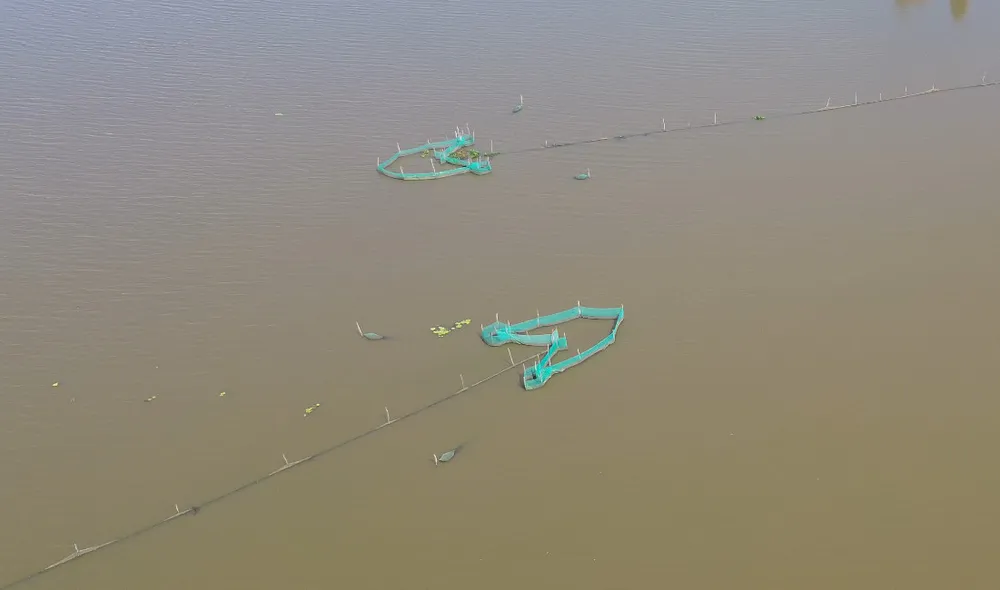 mưu sinh mùa lũ (6).jpg