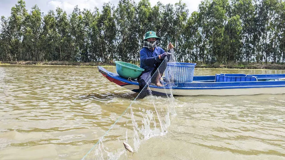 mưu sinh mùa lũ (7).JPG