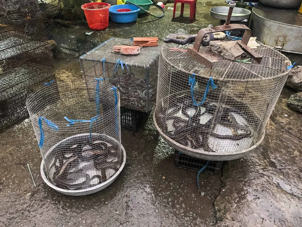 mưu sinh mùa lũ (8).JPG