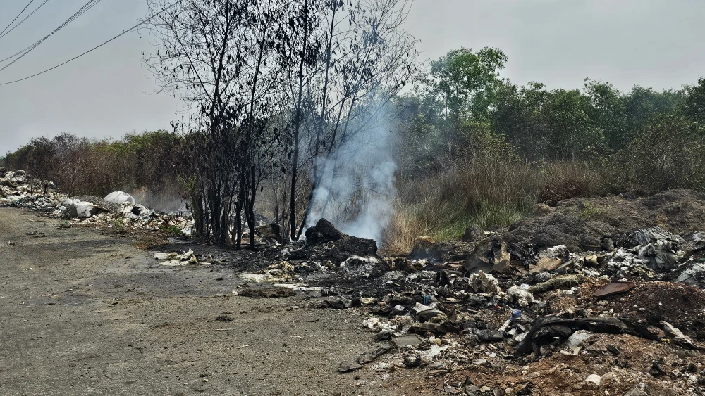 Con đường rác (3).jpg