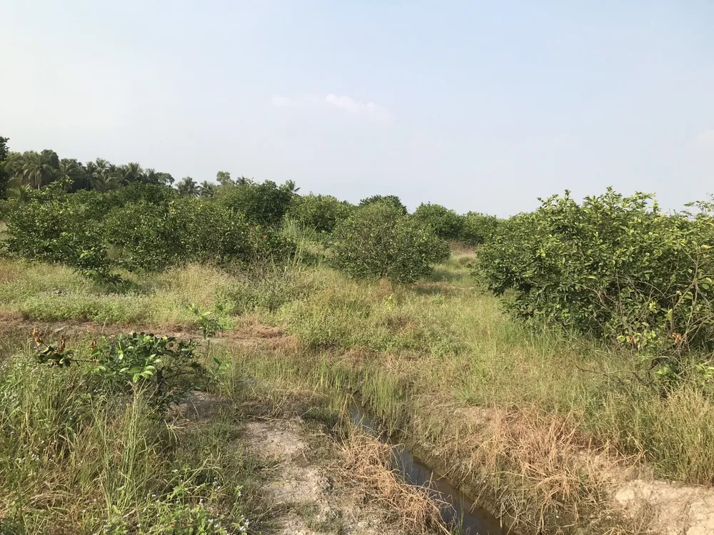 kẻ giết người