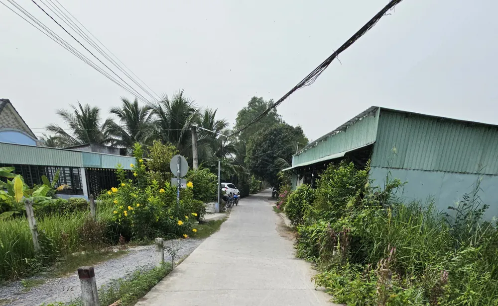 Kẻ giết người.jpg