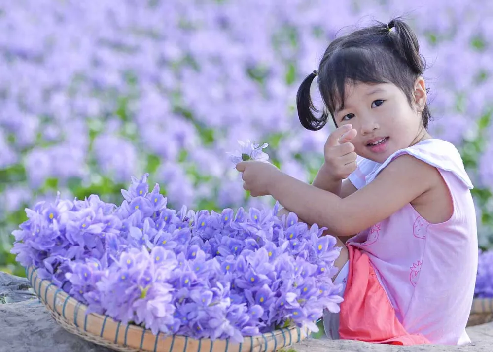 cánh đồng hoa lục bình.JPG