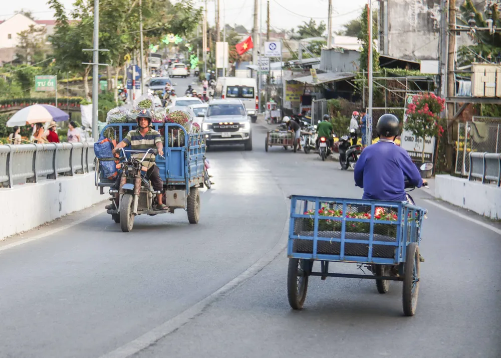 Làng hoa Sa Đéc (14).JPG