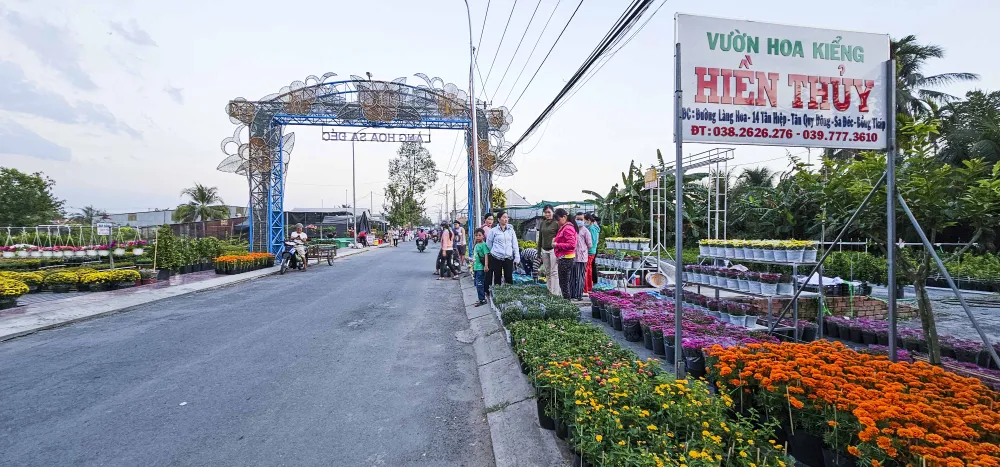 Làng hoa Sa Đéc (5).JPG