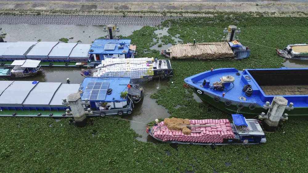 Âu tàu Rạch Chanh_3.JPG