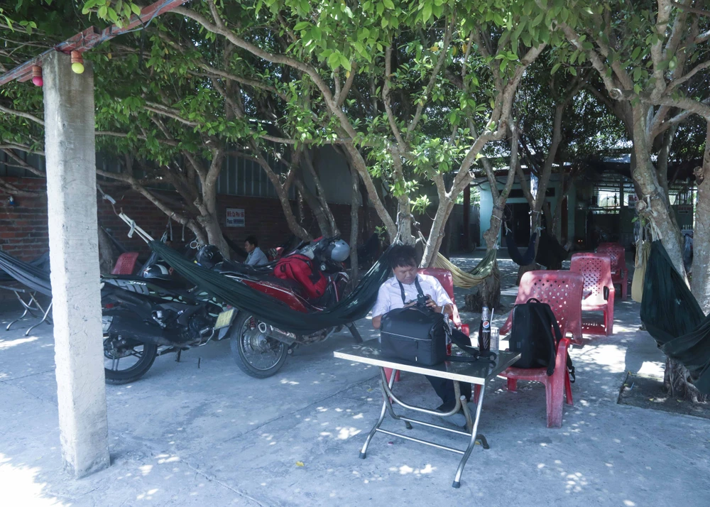 Quán cà phê được trồng trên 30 cây si (5).JPG