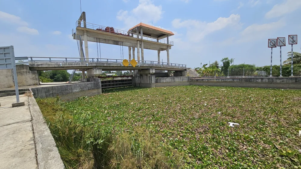 Cống La Khoa đã bị đóng ngăn mặn nên nước thải toàn khu vực không thể thoát ra sông Vàm Cỏ Tây. dòng kênh đen (6).jpg