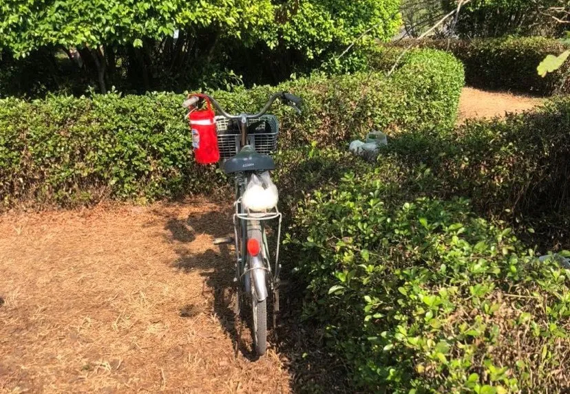 thi thể người đàn ông bị cháy (2).jpg