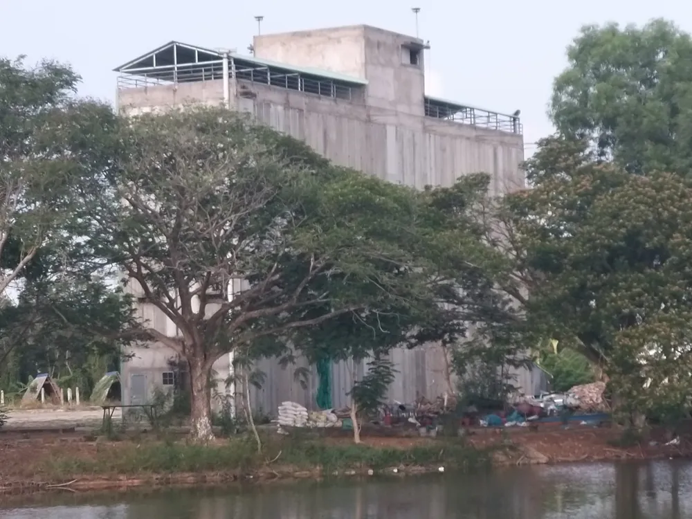 Làng Nổi Tân Lập.jpg