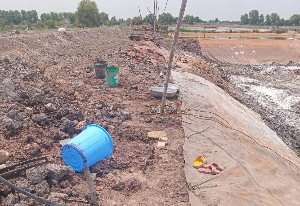 Điện giật tử vong.jpg