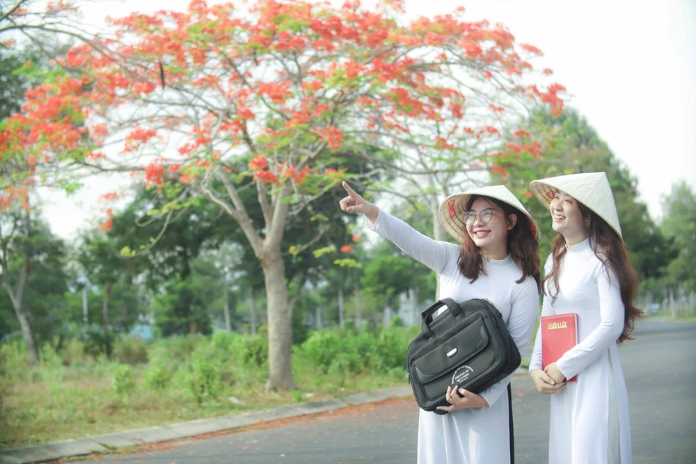 hoa phượng (17).JPG