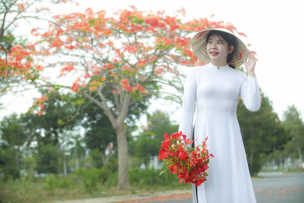 hoa phượng (3).JPG