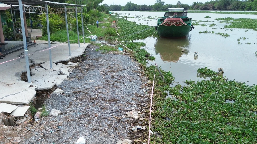 Những vết nứt lớn trước sân và một đoạn hàng rào nhà bà Đặng Thị Cúc bị sạt lở xuống sông Vàm Cỏ Tây. Ảnh: HD sạt lở đê bao ven sông Vàm Cỏ Tây (9).jpg