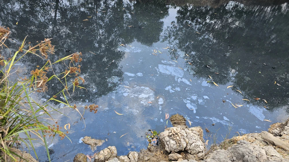 phạt trên 300 triệu đồng (1).jpg