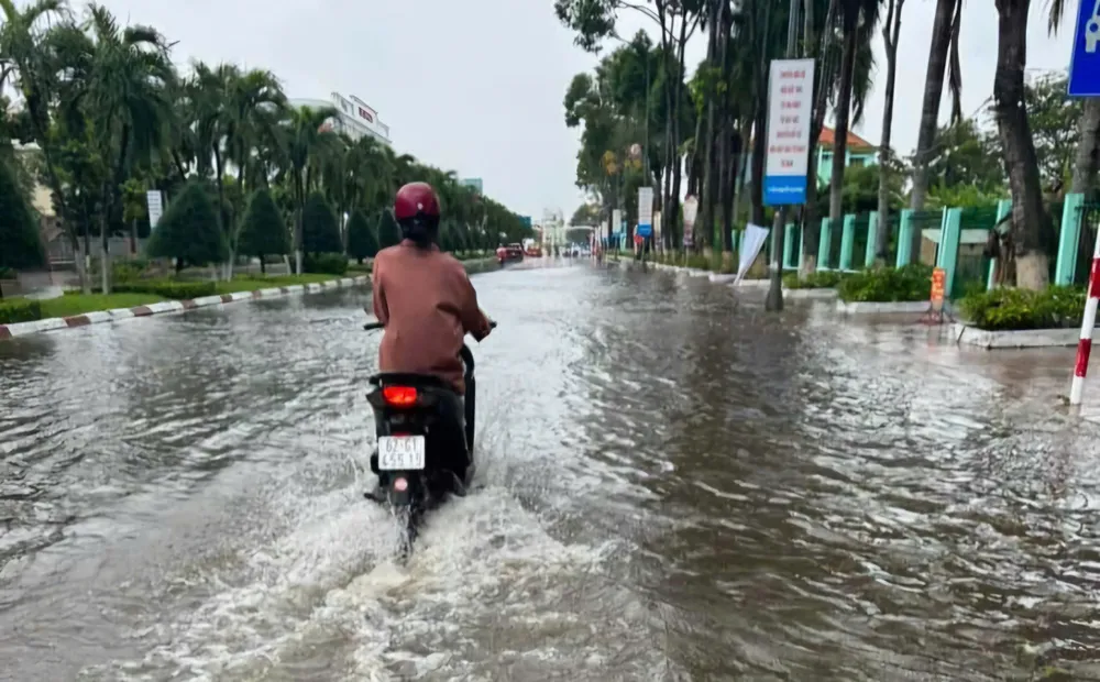 chìm trong biển nước (2).jpg