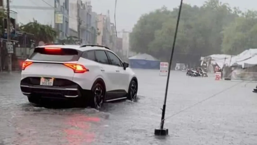 chìm trong biển nước (3).jpg