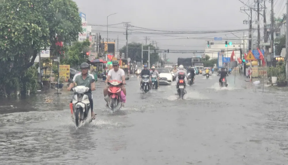 chìm trong biển nước (7).jpg