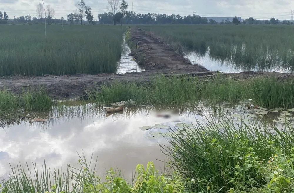 Thi thể người đàn ông.jpg