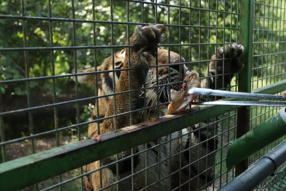 vườn thú Mỹ Quỳnh (1).jpg