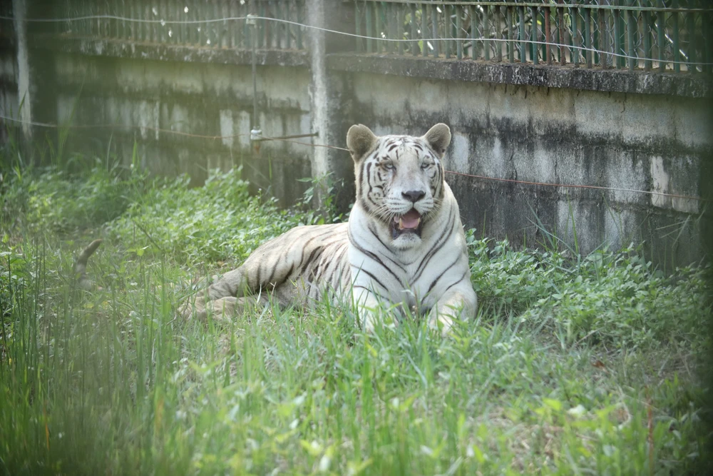 Nguồn gốc thức ăn.jpg